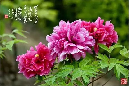 437ccm必赢国际首页欢迎您