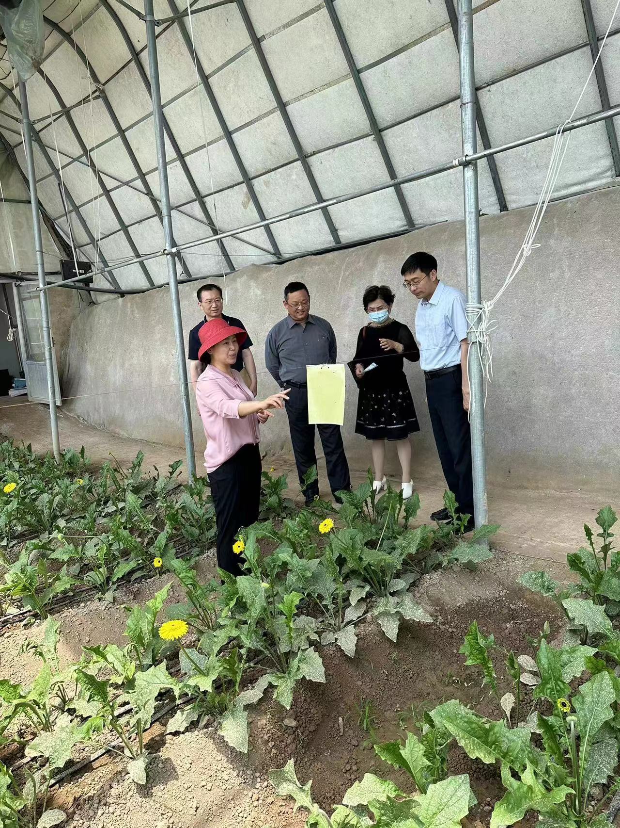 437ccm必赢国际首页欢迎您