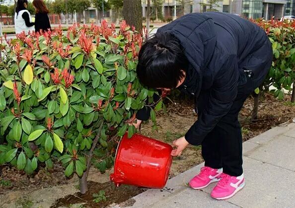 小树,我们给你浇水~ 437ccm必赢国际首页欢迎您